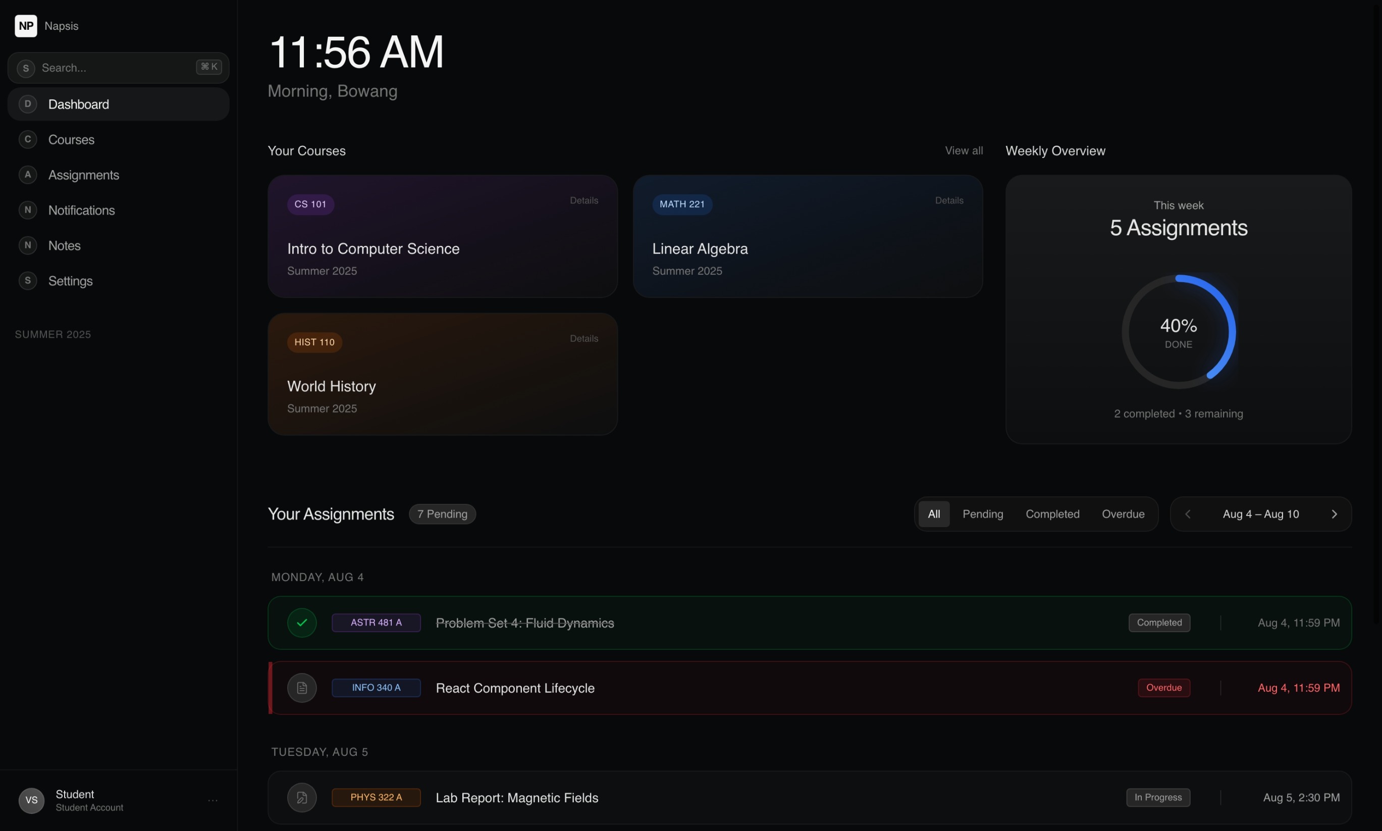 Napsis dashboard preview